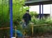 Garten 090